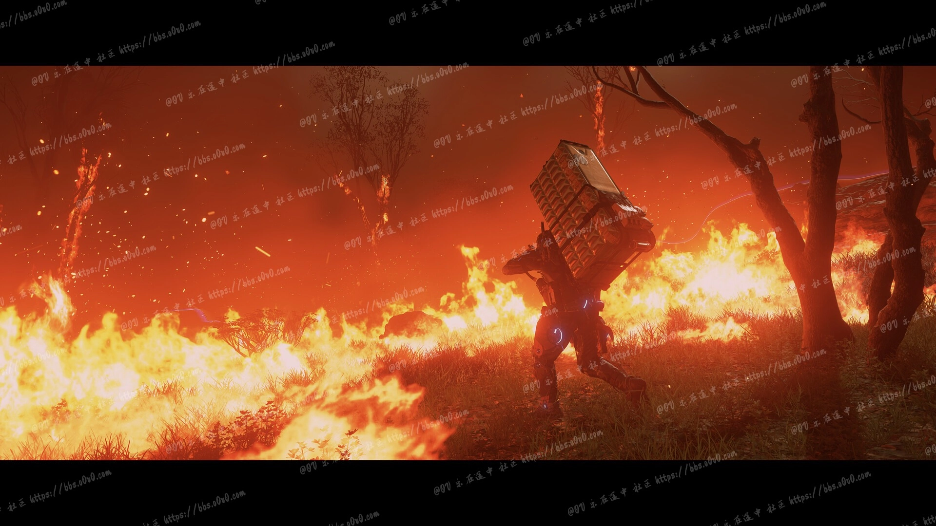 image-4